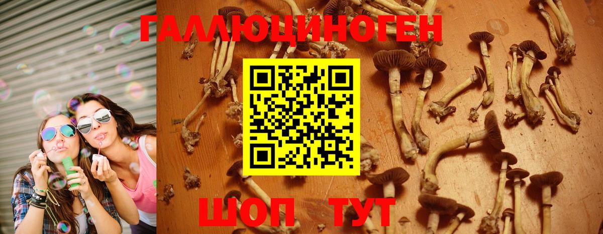 Алексеевка  Псилоцибиновые грибы мухоморы  что такое   Вход с VPN 